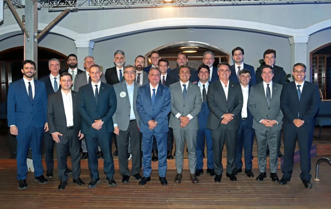 Novos deputados