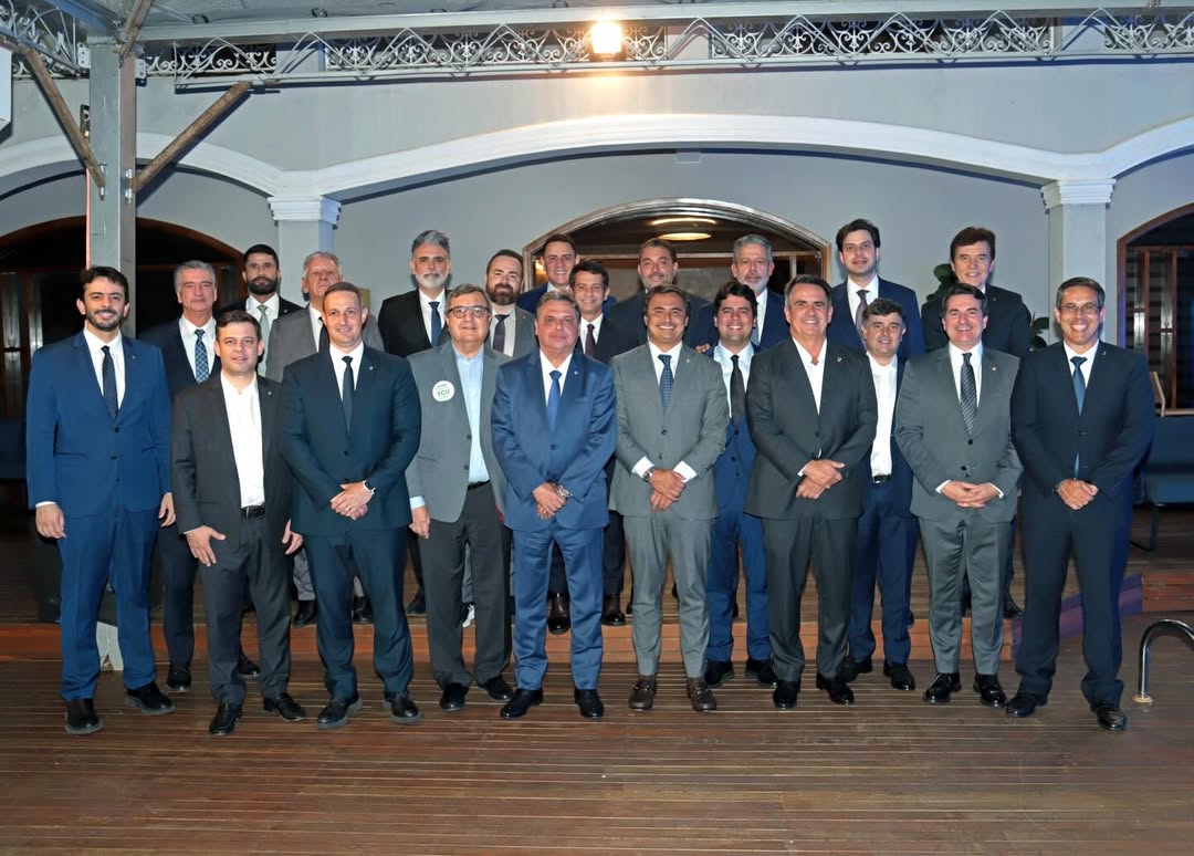 Novos deputados